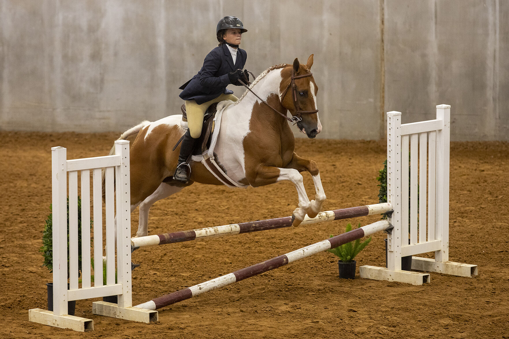 4-H horse show